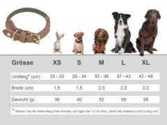 Hundehalsband Tau mit Leder (L) 37-43cm...